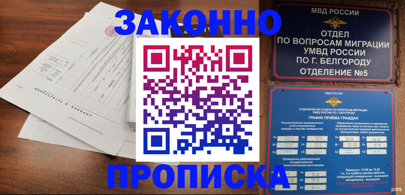 прописка в Могочи